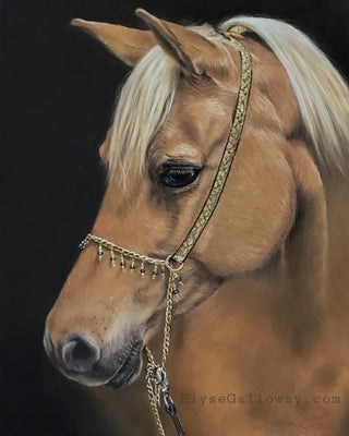 Original - Palomino Pony