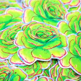 succulent plant stickers Succulent Rosette Stickers – Elyse Galloway Wildlife & Portraiture Art